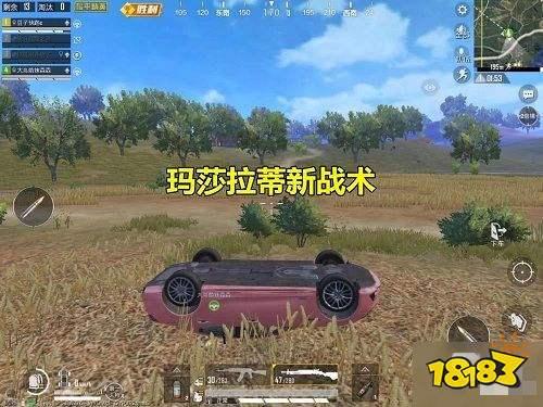 和平精英最新消息车爆料,神秘载具曝光，战场格局将迎巨变！